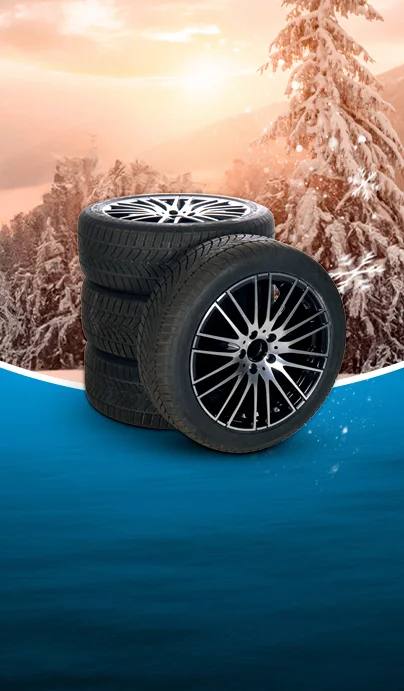Winter Complete Wheel Sets