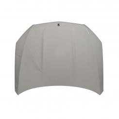 Motorhaube 