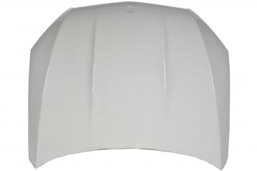 Motorhaube 