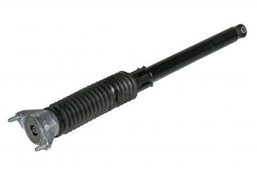 Stoßdämpfer hinten 