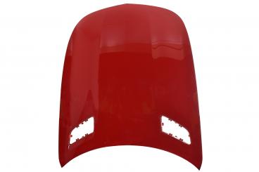 Motorhaube 