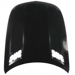 Motorhaube 