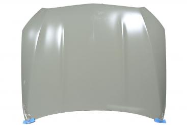 Motorhaube 