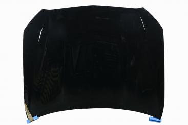 Motorhaube 