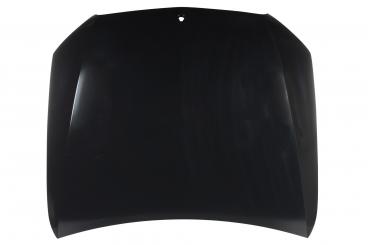 Motorhaube 