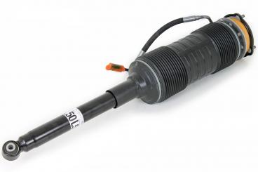 Stoßdämpfer hinten links 