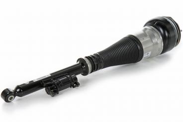 Stoßdämpfer hinten links 