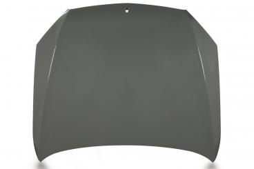 Motorhaube 
