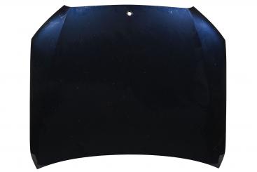 Motorhaube 