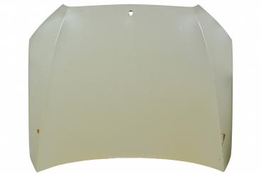 Motorhaube 
