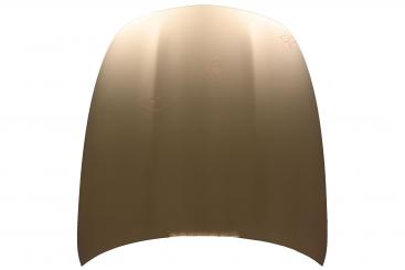 Motorhaube 