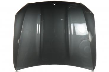 Motorhaube 