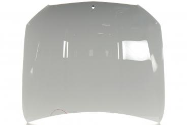 Motorhaube 
