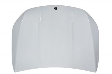 Motorhaube 
