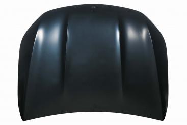 Motorhaube 
