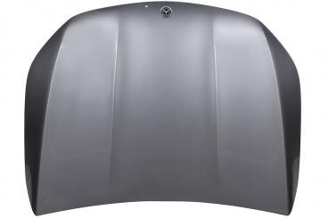 Motorhaube 