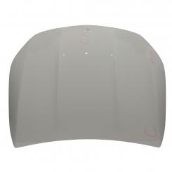 Motorhaube 