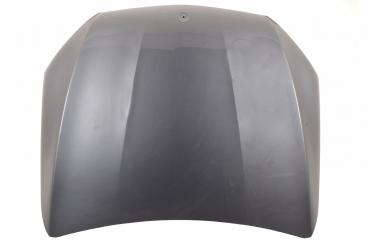 Motorhaube 