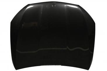 Motorhaube 