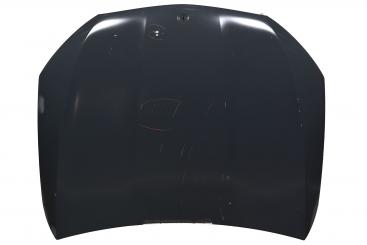 Motorhaube 