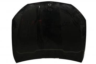 Motorhaube 