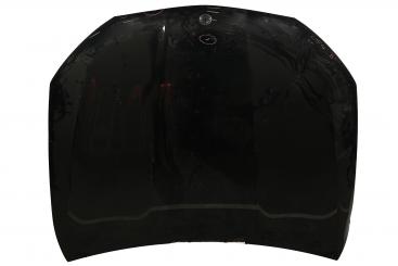Motorhaube 