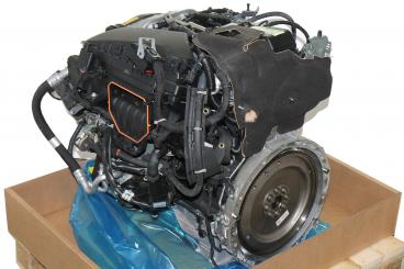 Motor Benzin BM264920 