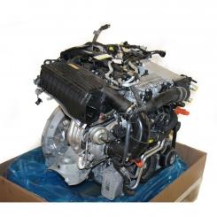 Motor Benzin BM274920 