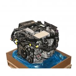Motor Benzin BM274920 