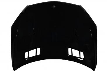 Motorhaube 
