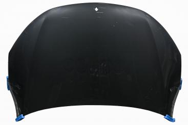 Motorhaube 