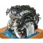 Motor Benzin BM264920  - Bild 1