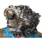 Motor Diesel BM  - Bild 1