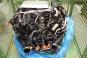 Motor Benzin BM178980  - Bild 2