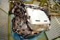 Motor Benzin BM178980  - Bild 2