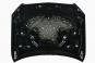 Motorhaube  - Bild 2