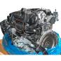 Motor Benzin BM264915  - Bild 2