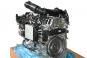 Motor Diesel BM654920  - Bild 2